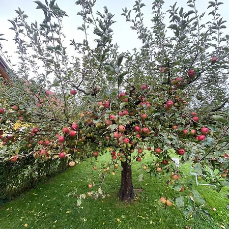 Troadkastn Familie Fritz *