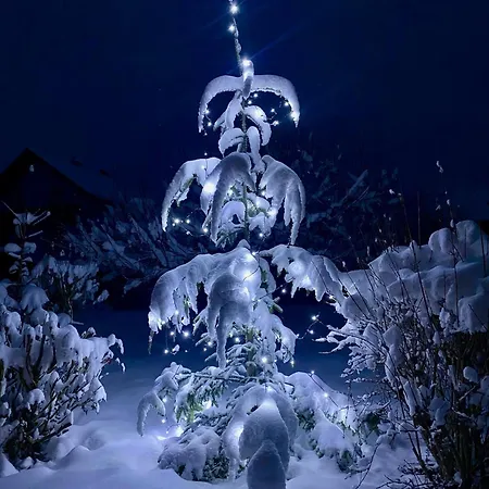 Troadkastn Familie Fritz Hébergement de vacances Passail