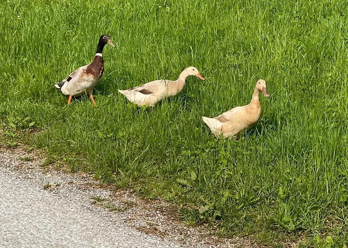 Troadkastn Familie Fritz *