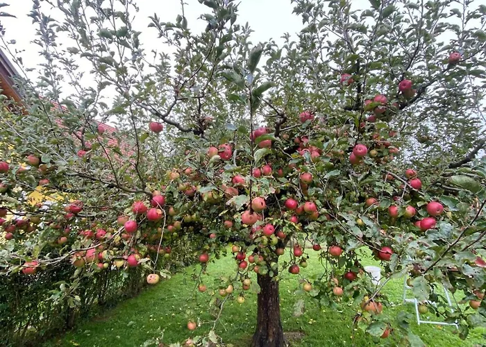 Troadkastn Familie Fritz *